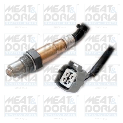 Oxygen Sensor